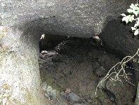 Grotta monte Arcimis